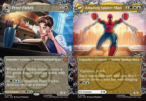 Peter Parker // Amazing Spider-Man (0208) (Borderless) (SPM) - Foil