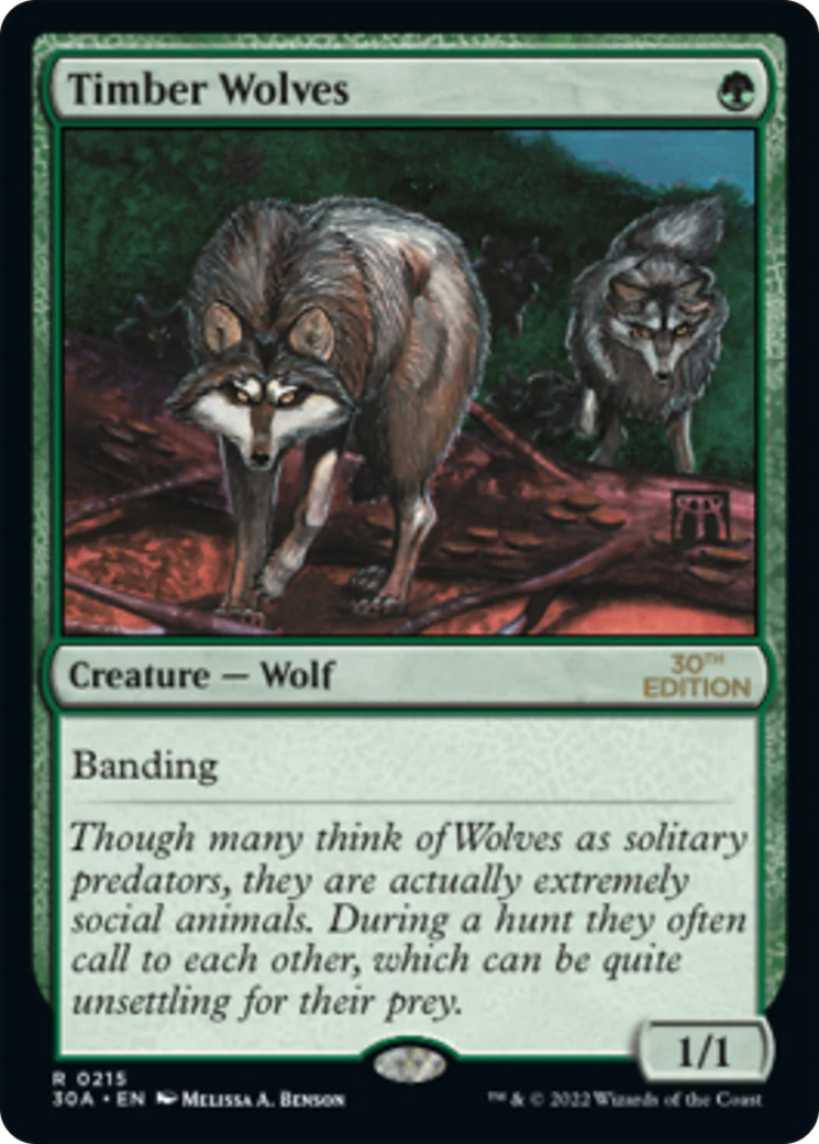 Timber Wolves (Modern Frame) (30A)